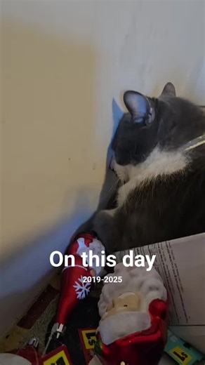 #onthisday