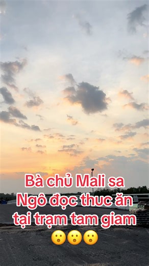 #Lan167 # mai li sa bị Ngô độc thực an tai trăm tâm giam#xuhuongtiktok2025❤️💕🇻🇳🌹 @Hoa mai🌷