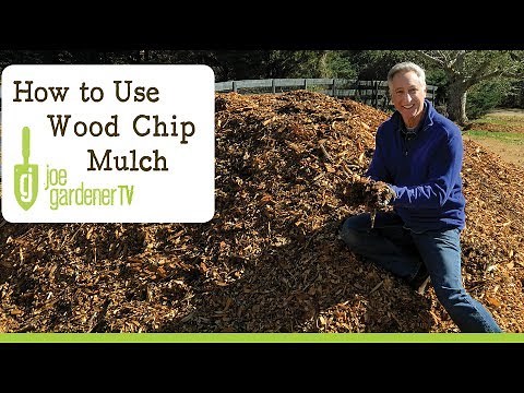 Where to Find Free Wood Chip Mulch and How To Use It