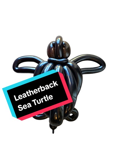 Leatherback Sea Turtle Balloon Animal If you want a balloon for your birthday or as a gift for someone else, send me a DM #balloonart #turtle #leatherback #balloonanimals #tutorial