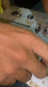 Mi niña tora 🐂♉️ | Byakko