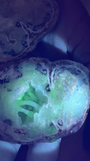 Super cool little Mexican geode #cuttingrocks #geode #shorts