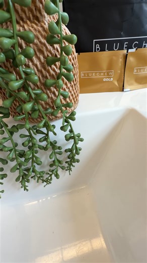 FOR REVIEW: Jaelyn Sanders - Mix Placebos