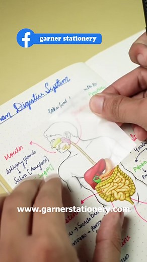 Transparent Sticky Notes: Study Life Hack for Medical Students