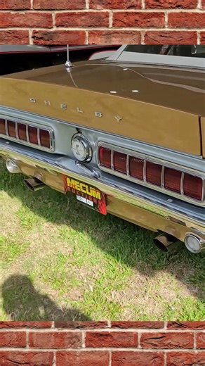 Spotted Yenko Camaro beside a GT-500 Mustang | TheCombustionGuys