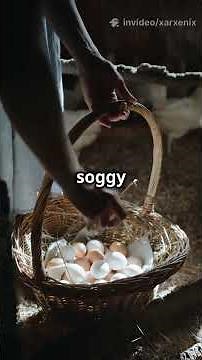 The Ultimate Great Escape? Chicken Run (2000) 🐔🥧 #ChickenRun #MovieReview #Aardman