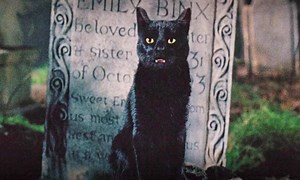 Thackery Binx might return in 'Hocus Pocus 2', but not as we know him