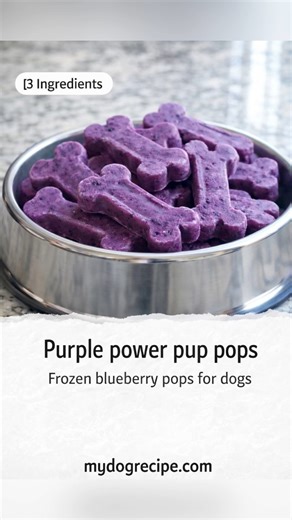 Purple Power Pup Pops (3 Ingredients) — easy frozen blueberry treats for dogs These bright purple pup pops are a quick, dog-safe summer treat made with blueberries, a tiny bit of coconut oil, and water. They freeze into fun bone shapes and make the perfect cool-down snack. Ingredients • 1/2 cup blueberries • 1 tbsp melted coconut oil • 1/4 cup water Instructions 1. Add blueberries, water, and melted coconut oil to a blender. Blend until smooth (or leave a few small blueberry bits if you want tex