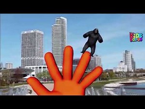 Gorilla finger family songs | cartoon animals nursery rhymes for children