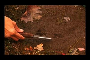 Watch How to Track Dogs & Cats on Amazon Live