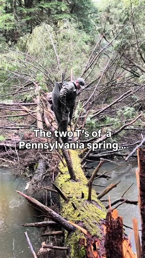 Exploring Pennsylvania's Spring: Trout and Turkey Season