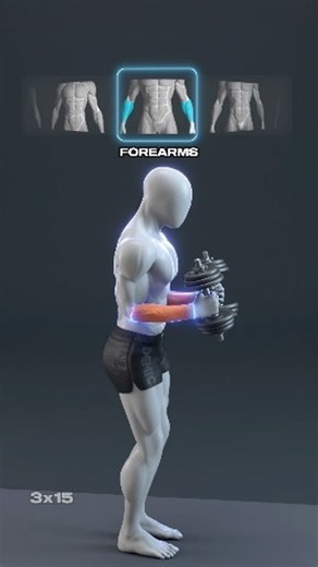 DEMIC STORY on Instagram: "💪🔥 The Only Dumbbell Arm Workout You Need"