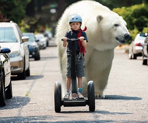 Film Review: Timmy Failure: Mistakes Were Made Is Deliciously Deadpan Disney