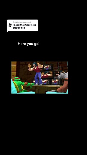 TMNT Mutant Melee Game Overview