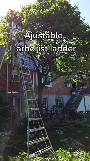 #Arboristladder #ladder #arborist #lanscaping