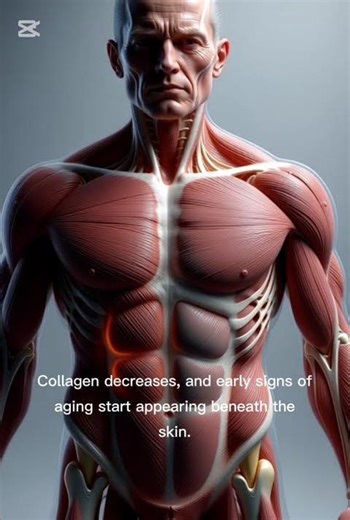 How Aging Grows Slowly With Age | Human Body 3D Aging Explained