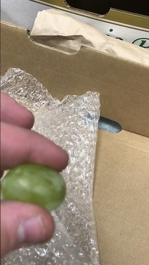 How to Pop a Testicle