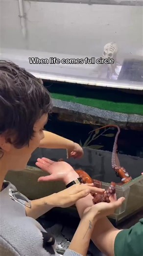 A wild surprise to close out 2025! 🐙 In “Semi-Well-Adjusted,” I write about tender childhood memories at @thetoledozoo. Thirty years later, my young nephews are transfixed by marine life, constantly seeking information about what it takes to create thriving, biodiverse ecosystems. After my library book event, a last-minute opportunity arose to meet an octopus up close! Our gaggle of Littles learned all about conservation efforts and endangered species, along with the incredible field work and c