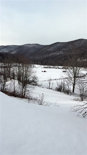 The Pragmatic Horseman (@mike.hurst.horseman)’s videos with original sound - Forgotten Vinyl Bangers