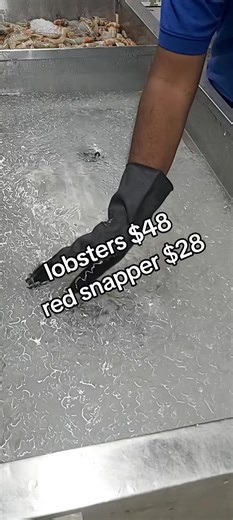 Exploring Seafood Prices in Trinidad: Lobsters and Red Snapper