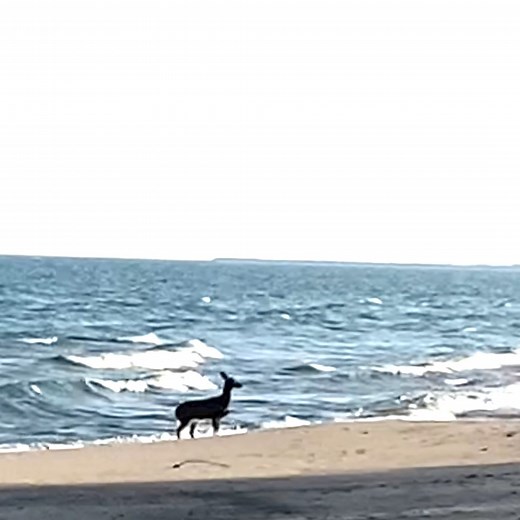 Bill’s Back! 歷 Thursday, May 23rd, we welcome Bill MacKay back to...