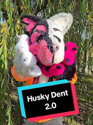 introducing..... Husky Dent 2.0! version 1 was made wayy back in 2013 (its my second suit ive ever made!) and for christmas I made my partner an all new version! hes based off two face from batman forever and this time we put the colors on the correct sides! he will be running around #fc2026 and sometimes passing out candy (if you flip his coin!) im so proud of how far Ive come and I cant wait to see what 2026 has in store! #fursuit #furtherconfusion #fursuiter #fursona