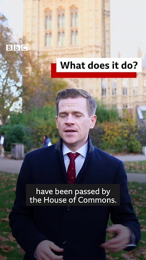 There are hundreds of members of the House of Lords. So how are they appointed? And how much do they get paid? https://bbc.in/3W67SAB | BBC Politics