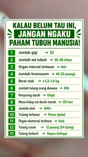 🤯 13 Fakta Tubuh Manusia yang Wajib Kamu Tahu Sebelum Terlambat!