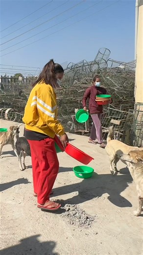 16K views · 497 reactions | Time to eat #feedinganimal | Feeding Animal | Facebook