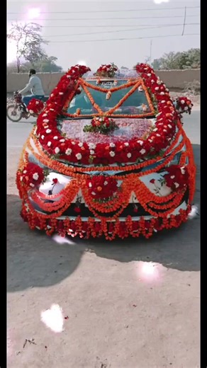 Faizan Flower House: A Touch of Floral Joy