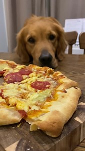 188K views · 6.9K reactions | Hugo and Ursula on Reels | Facebook