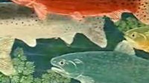 Fiber Artist Karen Miller