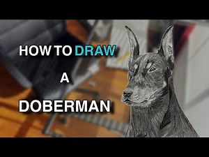 How To Draw a Doberman / Step by step, Easy Tutorial