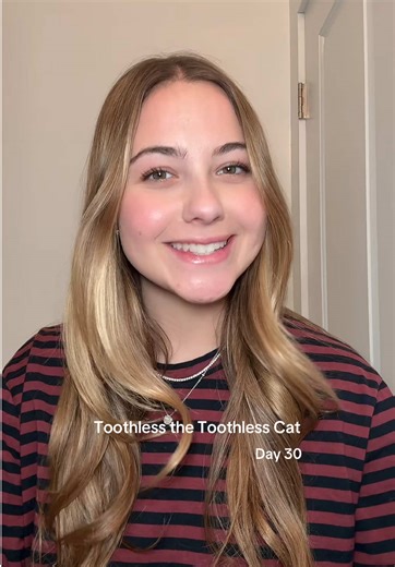 Cat Whispering Skills Shining with Toothless the Cat