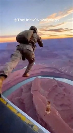 Military Dog Jumps, Chute Opens Instantly. Handler Still Falling 🇺🇸