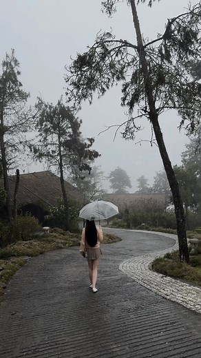 2.4K views · 84 reactions | Đôi khi việc không ai biết về những chông chênh của cuộc đời mình lại là một sự an ủi dịu dàng | Chu Thị Thúy Quỳnh | Facebook