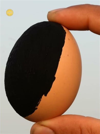 Vantablack: The Paint That Absorbed 99.96% Light! #shorts #ytshorts #facts #viral