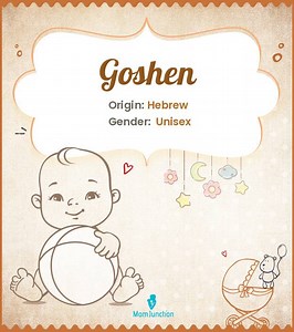 Goshen Name Meaning, Origin, History, And Popularity