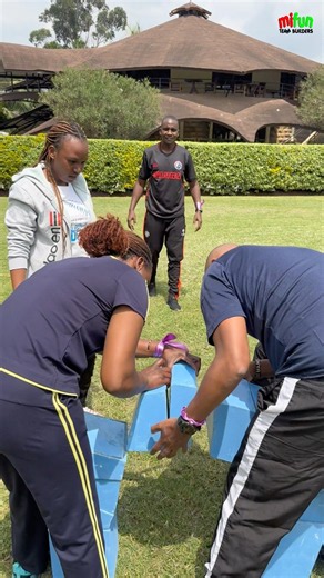 The Cohesive Arc - Team building activity