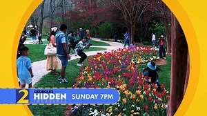BREAKING: Georgia's Best-Kept Secret Revealed! This Sunday, June 1 at 7pm on WSB-TV Atlanta & streaming free on Roku, Fire TV, Apple TV and more! Join Karyn Greer and Jorge Estevez as they uncover the hidden treasures of Gibbs Gardens. Don't miss it! | Gibbs Gardens