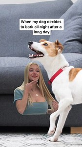 At least you have Casper comfort to get you through it. 🐶✨ | Casper