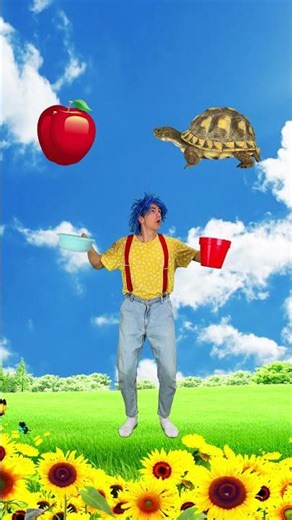 Choose The Right Cup For Objects 🤩 How to Fill In the Cups? 👀