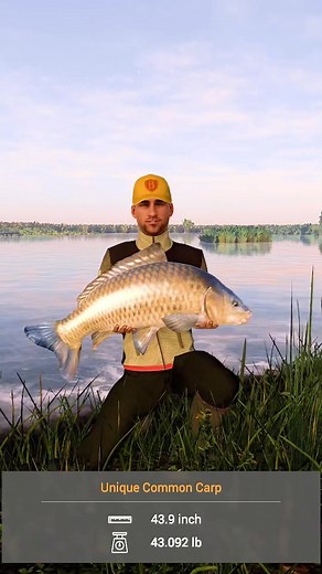 Common carp fishing on fishing planet. My first unique common carp 43.092 lb #fishing #carpfishing #commoncarp #fishingplanet #carprig