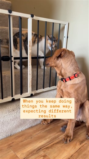 Eleena on Instagram: "I did this for most of my adult life once having kids. I wanted to be able to stay home with them, and instead of doing something about it, I complained about my job. And kept doing absolutely the same thing over and over. Then, 2 years ago I said: “ENOUGH!” I decided that instead of just complaining, I was going to do something to actually change my circumstances. This is what led me on my entrepreneurial journey to discovering my true passions and figure out what’s most a