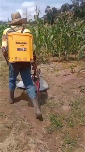 Another way to beat poison | This one is good