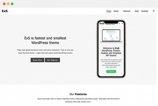 ExS WordPress Theme Demo - Smallest and Fastest WordPress theme: ExS