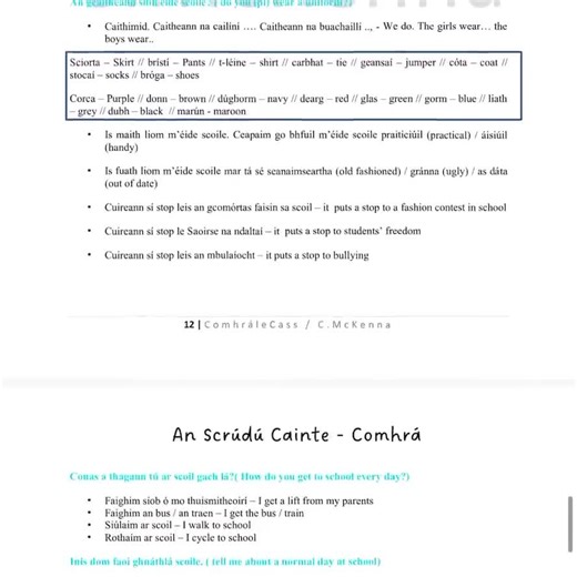 Irish Oral Conversation Booklets - Note Booklet and Portfolio Booklet for Leaving Cert Oral - Etsy Ireland