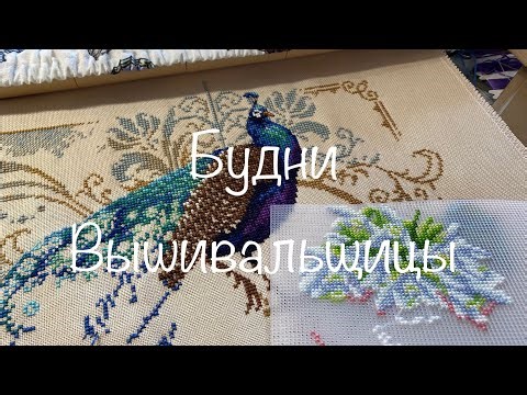 #335. Будни Вышивальщицы 01-10.03.23/ Продвижения и новые начинания