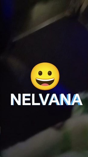 Nelvana Logo 2004