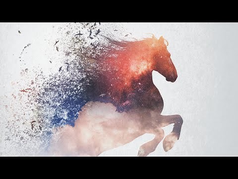 Marcus Warner - First Flight (Official Audio)